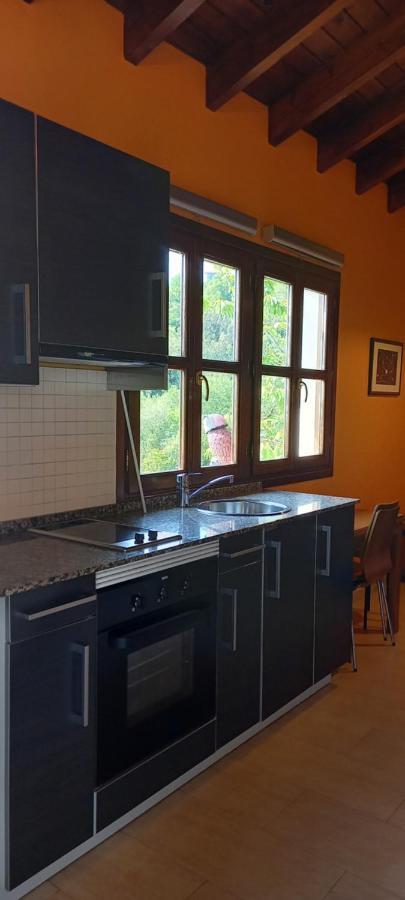 Apartamentos Rurales La Gueertona Ardines ภายนอก รูปภาพ