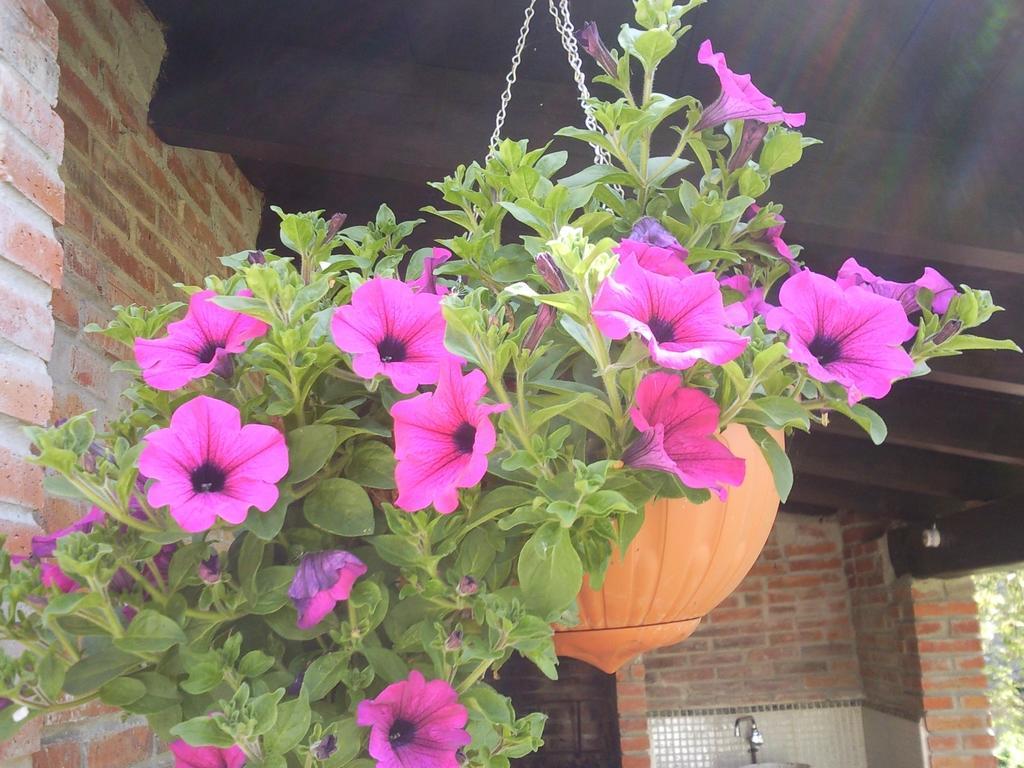 Apartamentos Rurales La Gueertona Ardines ภายนอก รูปภาพ